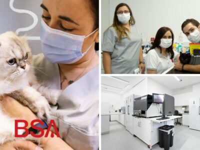 UNAVETS anuncia una asociación estratégica con el Banco de Sangre Animal portugués, BSA