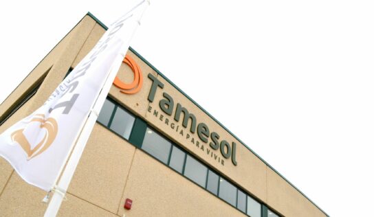 TAMESOL se fusiona con la multinacional TIDE Solar a fin de aumentar su cuota de mercado