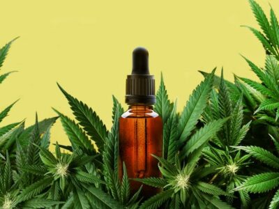 Cannabis Light Spain: liderando el mercado de productos CBD de bajo THC