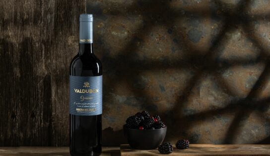 Valdubón presenta sus espacios renovados y el nuevo vino 9 Meses