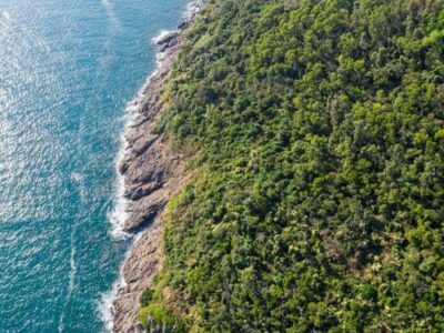 Dentomedic explica en qué consiste la lengua geográfica