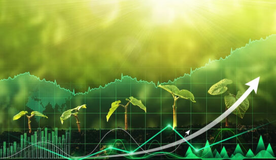 Dos empresas participadas del Grupo Segofinance consiguen los mejores resultados de BME Growth