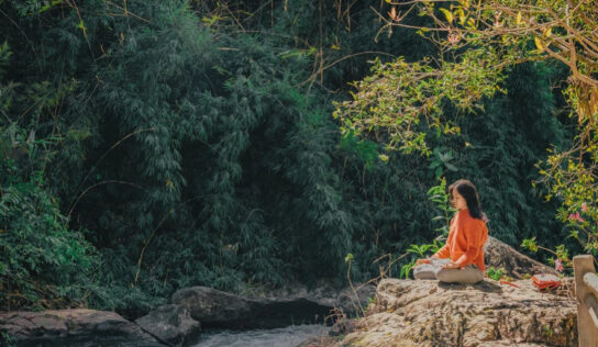 Tōke Natura trae a España lo mejor en K-Beauty y cosmética japonesa natural, vegana y 100% cruelty free