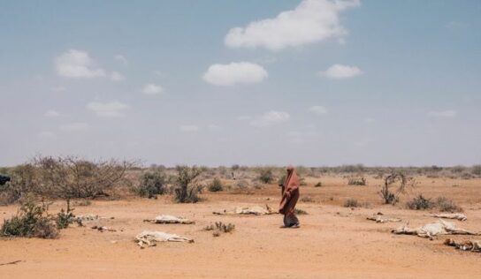 El Comité de Emergencia se activa ante una crisis del hambre sin precedentes