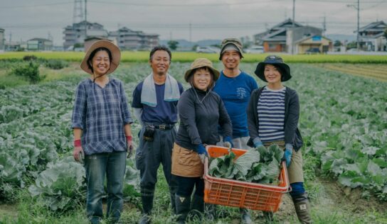 El sake de Fushimi: pilar fundamental de la cocina, las tradiciones y el modo de vida en Kioto