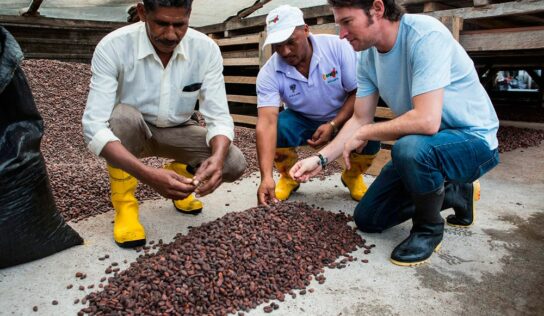 PACCARI deslumbra en FITUR 2024 con sus chocolates de origen ecuatoriano