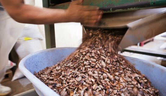 Paccari desvela mitos y leyendas sobre el chocolate