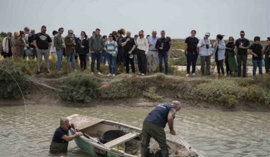 Despesques 2024 «avisa a navegantes y remueve conciencias»