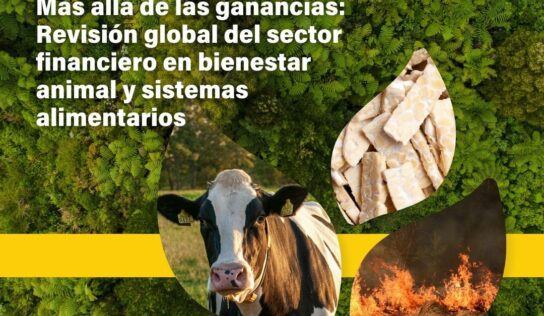 Nuevo informe revela el papel crucial de la banca en la transformación de los sistemas alimentarios