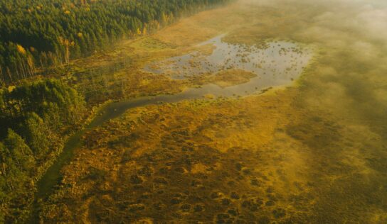 El encanto del otoño lituano: una sinfonía de colores y naturaleza viva