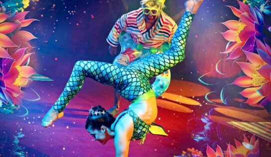 El Gran Circo WOW vuelve a llevar su magia a Valencia con descuentos especiales