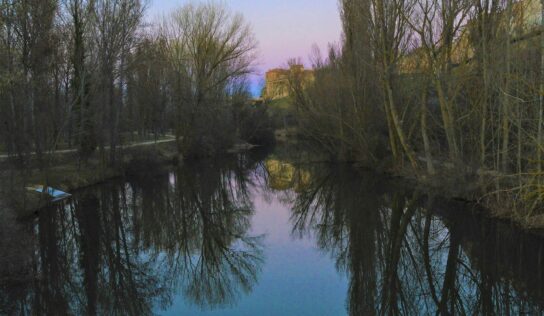 El Patrimonio Natural de la Red Medieval, válvula de escape en el puente de la Constitución y Navidades