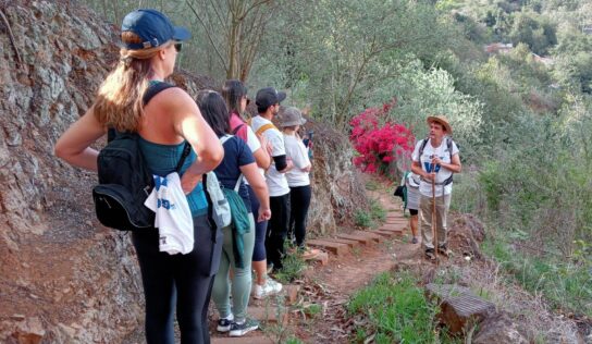 El Turismo Activo y Ecoturismo en Canarias: pilar estratégico para un modelo turístico sostenible